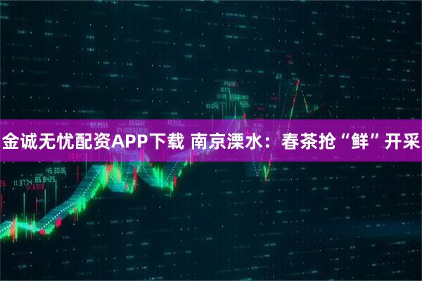 金诚无忧配资APP下载 南京溧水：春茶抢“鲜”开采