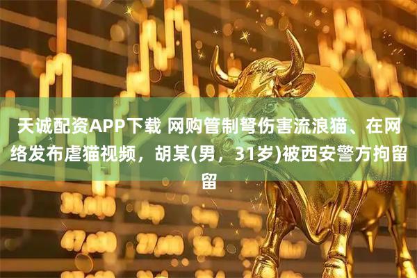 天诚配资APP下载 网购管制弩伤害流浪猫、在网络发布虐猫视频，胡某(男，31岁)被西安警方拘留