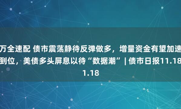 万全速配 债市震荡静待反弹做多,增量资金有望加速到位,美债多头屏息以待“数据潮” | 债市日报11.18