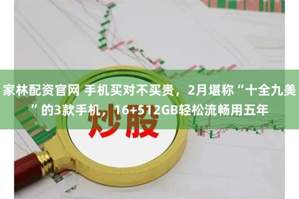 家林配资官网 手机买对不买贵，2月堪称“十全九美”的3款手机，16+512GB轻松流畅用五年