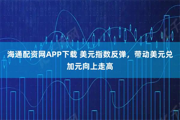 海通配资网APP下载 美元指数反弹，带动美元兑加元向上走高
